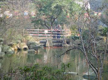 Çin İzlenimleri - Göl, köprü ve balıklar (Cheng Du)